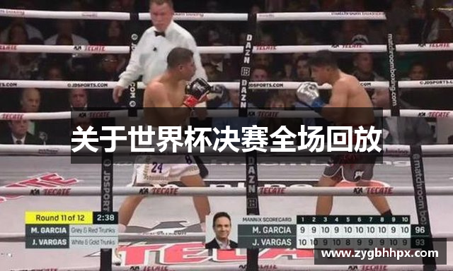 关于世界杯决赛全场回放